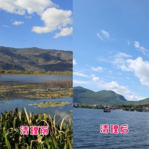 洱?？蛻艉此萸謇硇Ч故?></div>
														<div   id=